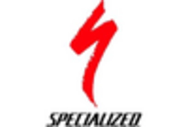 US Electric Bicycles Market key player