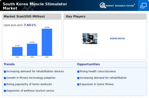 South Korea Muscle Stimulator Market Infographic