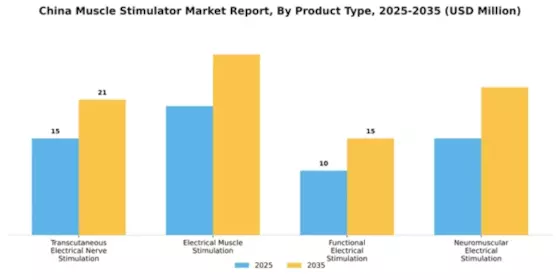 China Muscle Stimulator Market Segment Image 2