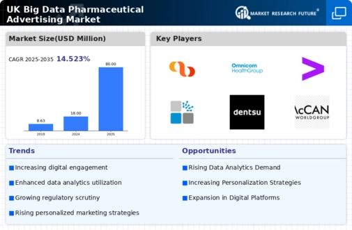 UK Big Data Pharmaceutical Advertising Market Infographic