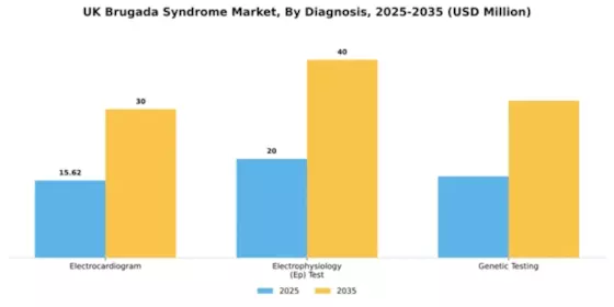 UK Brugada Syndrome Market Segment Image 0