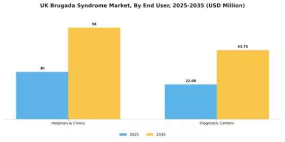 UK Brugada Syndrome Market Segment Image 1