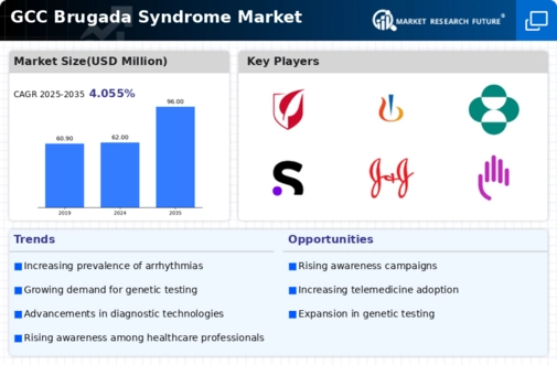 GCC Brugada Syndrome Market Infographic