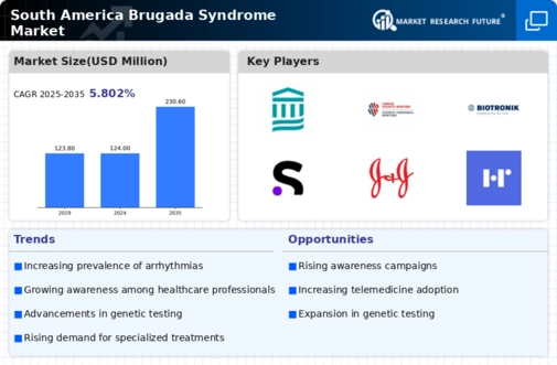 South America Brugada Syndrome Market Infographic