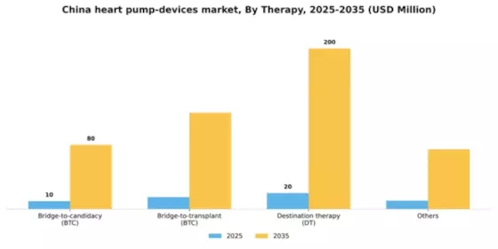 China Heart Pump Devices Market Segment Image 3
