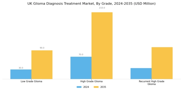 UK Glioma Diagnosis Treatment Market Segment Image 3