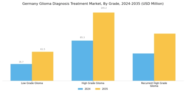 Germany Glioma Diagnosis Treatment Market Segment Image 3