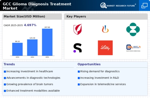GCC Glioma Diagnosis Treatment Market Infographic