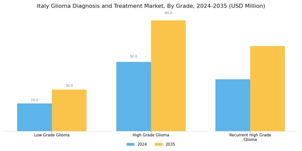 Italy Glioma Diagnosis Treatment Market Segment Image 3