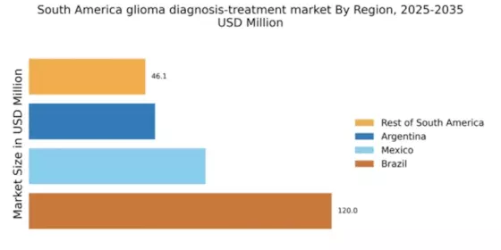 South America Glioma Diagnosis Treatment Market Regional Image