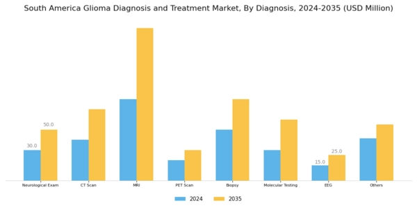 South America Glioma Diagnosis Treatment Market Segment Image 1