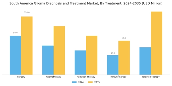 South America Glioma Diagnosis Treatment Market Segment Image 2
