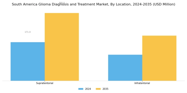 South America Glioma Diagnosis Treatment Market Segment Image 4