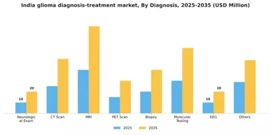 India Glioma Diagnosis Treatment Market Segment Image 0
