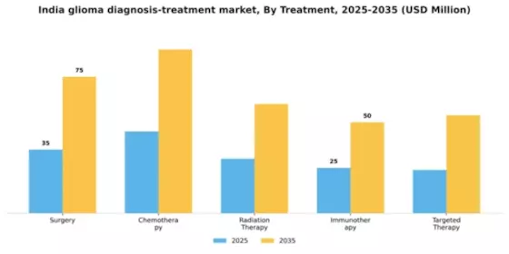 India Glioma Diagnosis Treatment Market Segment Image 4