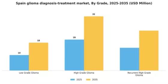 Spain Glioma Diagnosis Treatment Market Segment Image 2