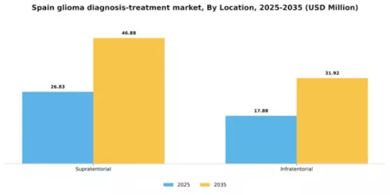 Spain Glioma Diagnosis Treatment Market Segment Image 3