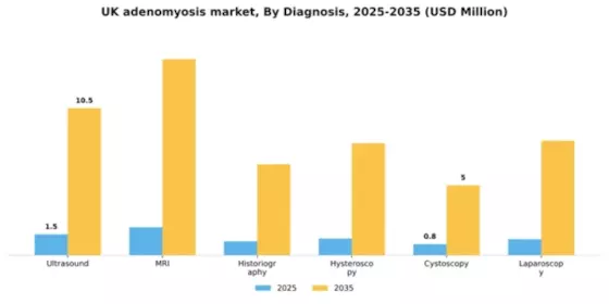 UK Adenomyosis Market Segment Image 0