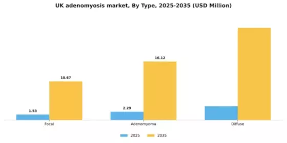 UK Adenomyosis Market Segment Image 3