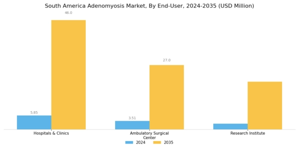 South America Adenomyosis Market Segment Image 3