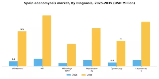 Spain Adenomyosis Market Segment Image 0