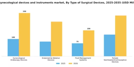 UK Gynecological Devices Instruments Market Segment Image 2
