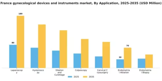 France Gynecological Devices Instruments Market Segment Image 0