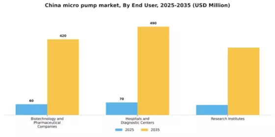 China Micro Pump Market Segment Image 1