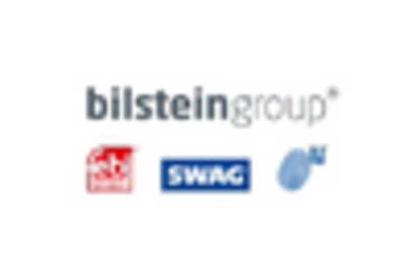 Mexico Automotive Shock Absorber Market key player