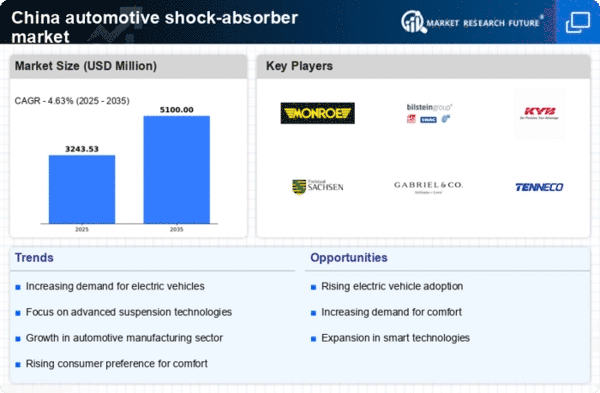 China Automotive Shock Absorber Market Infographic