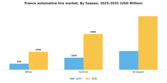 France Automotive Tire Market Segment Image 3