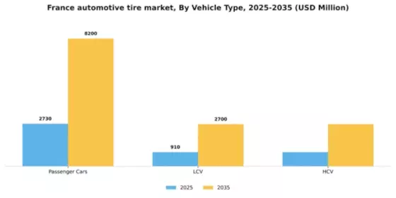 France Automotive Tire Market Segment Image 4