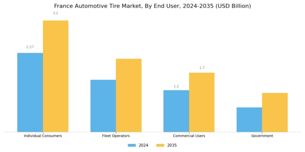 France Automotive Tire Market Segment Image 4
