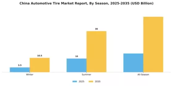 China Automotive Tire Market Segment Image 3