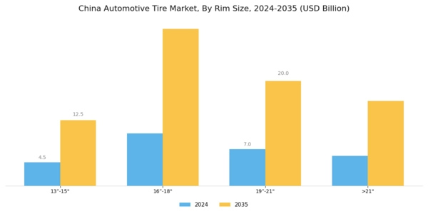 China Automotive Tire Market Segment Image 0