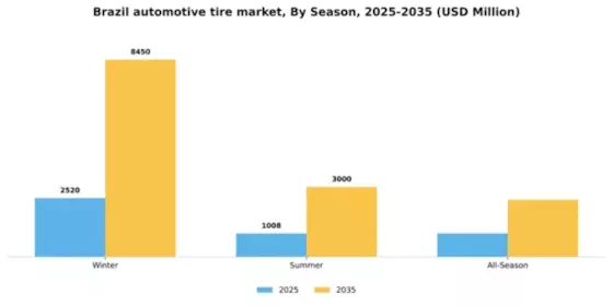 Brazil Automotive Tire Market Segment Image 3