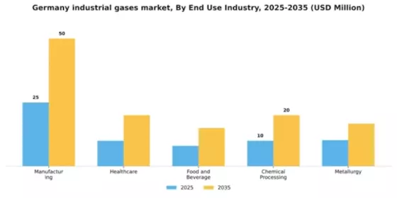 Germany Industrial Gases Market Segment Image 2