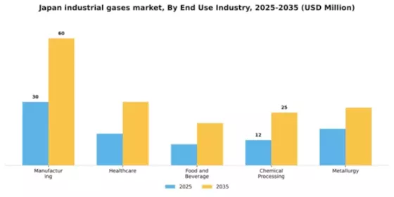 Japan Industrial Gases Market Segment Image 2