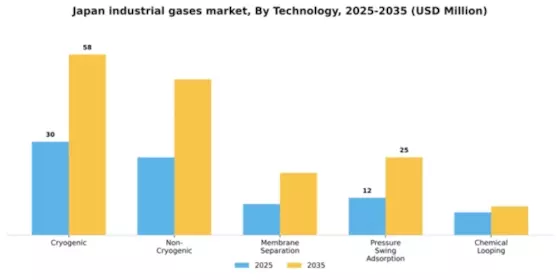 Japan Industrial Gases Market Segment Image 4