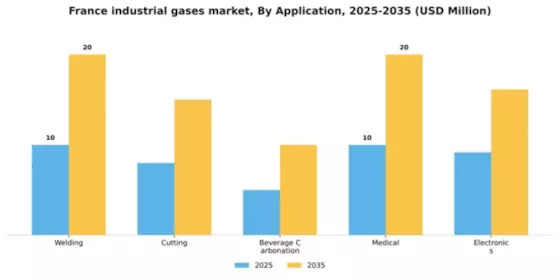 France Industrial Gases Market Segment Image 0