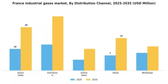 France Industrial Gases Market Segment Image 1