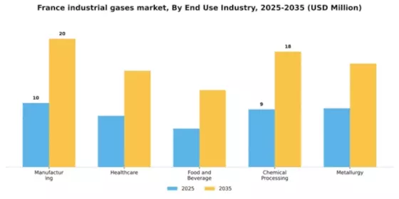 France Industrial Gases Market Segment Image 2