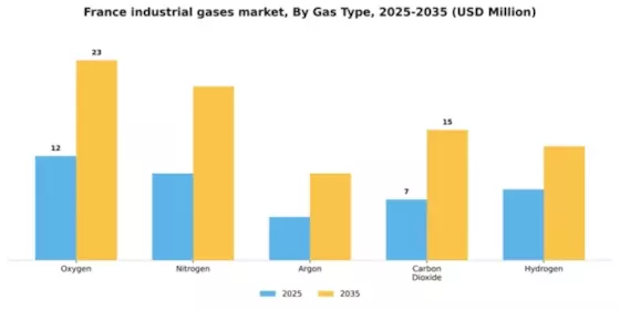 France Industrial Gases Market Segment Image 3