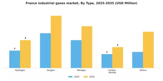 France Industrial Gases Market Segment Image 1