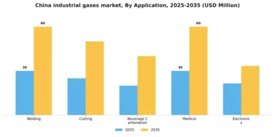 China Industrial Gases Market Segment Image 0