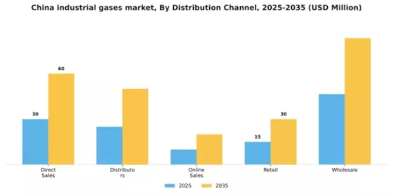China Industrial Gases Market Segment Image 1
