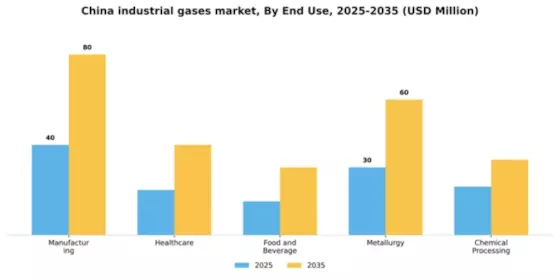 China Industrial Gases Market Segment Image 2
