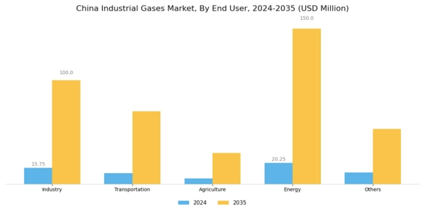 China Industrial Gases Market Segment Image 1