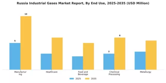 Russia Industrial Gases Market Segment Image 2