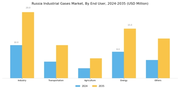 Russia Industrial Gases Market Segment Image 1